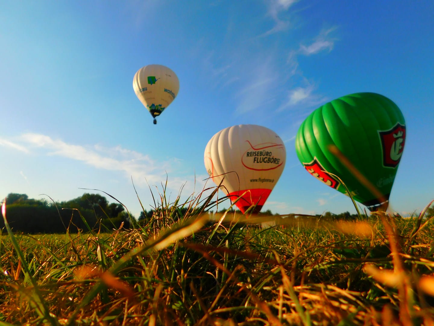 f06b3191 da30 4dee 86a7 66ee34d72397